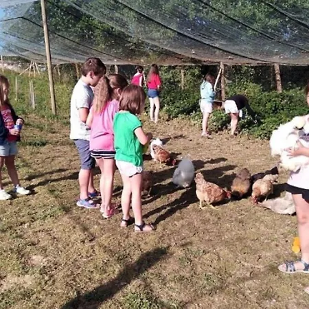 Mobil Confortable Avec Terrasse Pour 6 Personnes - Api-1-52-986 Camping