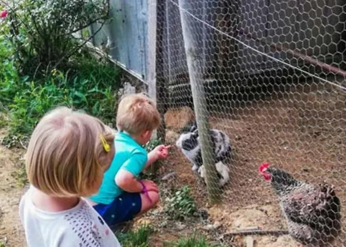 Mobil Confortable Avec Terrasse Pour 6 Personnes - Api-1-52-986 Martiel