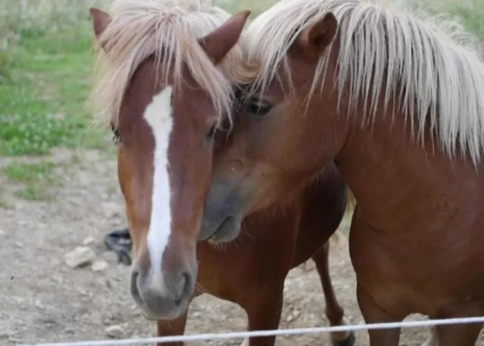 Mobil Confortable Avec Terrasse Pour 6 Personnes - Api-1-52-986 Camping
