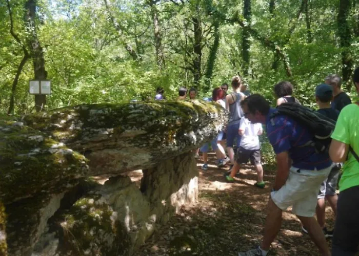 Camping Mobil Confortable Avec Terrasse Pour 6 Personnes - Api-1-52-986 Martiel