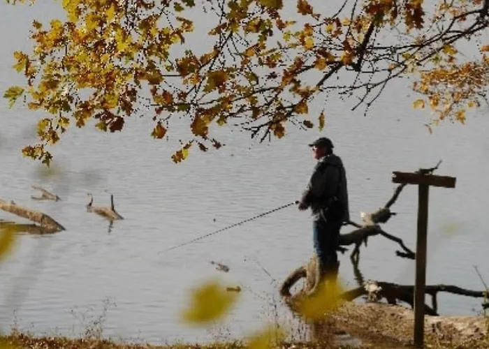 Mobil Confortable Avec Terrasse Pour 6 Personnes - Api-1-52-986 Martiel