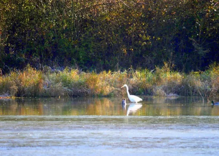 Camping Mobil Confortable Avec Terrasse Pour 6 Personnes - Api-1-52-986 *