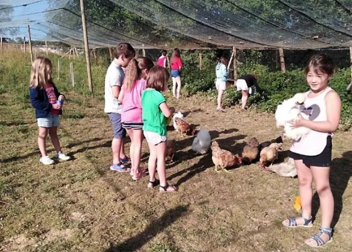 Mobil Confortable Avec Terrasse Pour 6 Personnes - Api-1-52-986 Camping